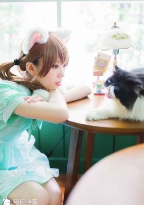 盒子里的猫