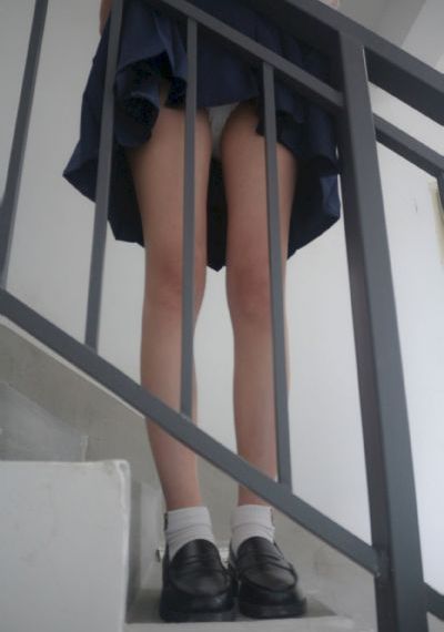 警花与警犬第二季免费观看全集