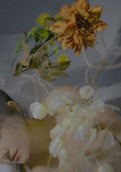 《让笨蛋妹妹变聪明的方法》